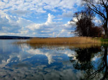  Jezioro Rydzówka, kwiecień 2023 r. Fot. Agnieszka Harasimowicz| IMGW-PIB