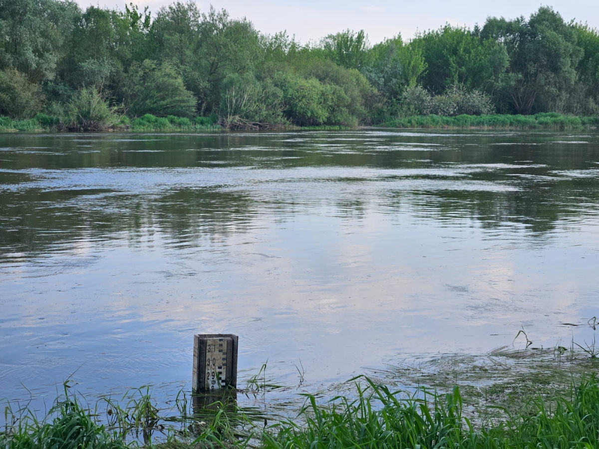 Rzeka Bug w Wyszkowie, 05.05.2024 r. Fot. Izabela Adrian | IMGW-PIB