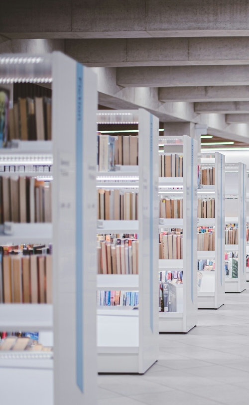 Biblioteka. Fot. Ryunosuke Kikuno, Unsplash