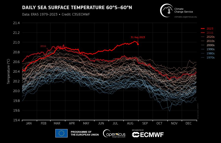 grafika wykres temperatura mórz