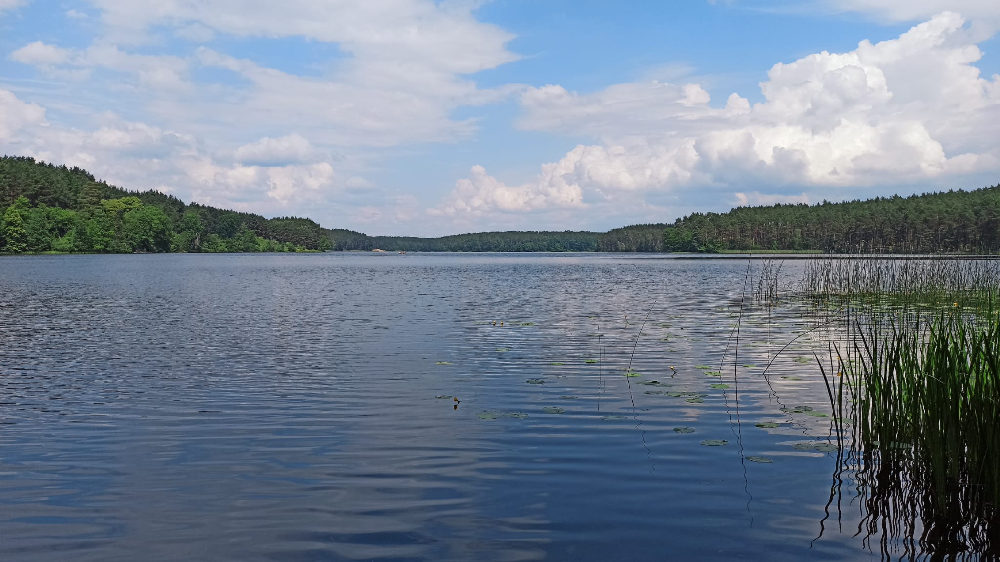 Jezioro Stoczek, 30.05.2024 r. Fot. Paweł Staniszewski | IMGW-PIB