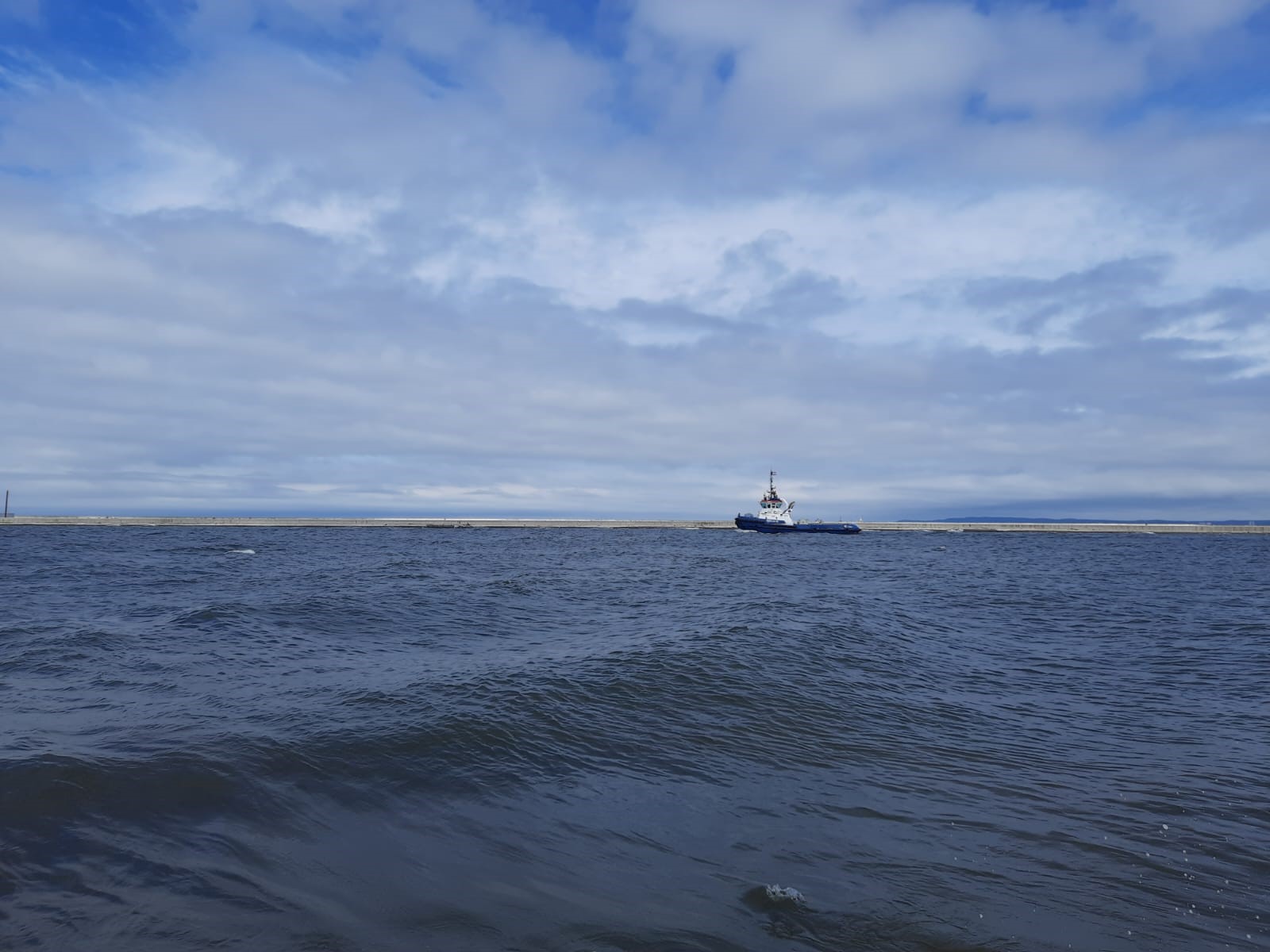 Morze Bałtyckie, 11.07.2024 r. Fot. Emilia Szewczak |IMGW-PIB