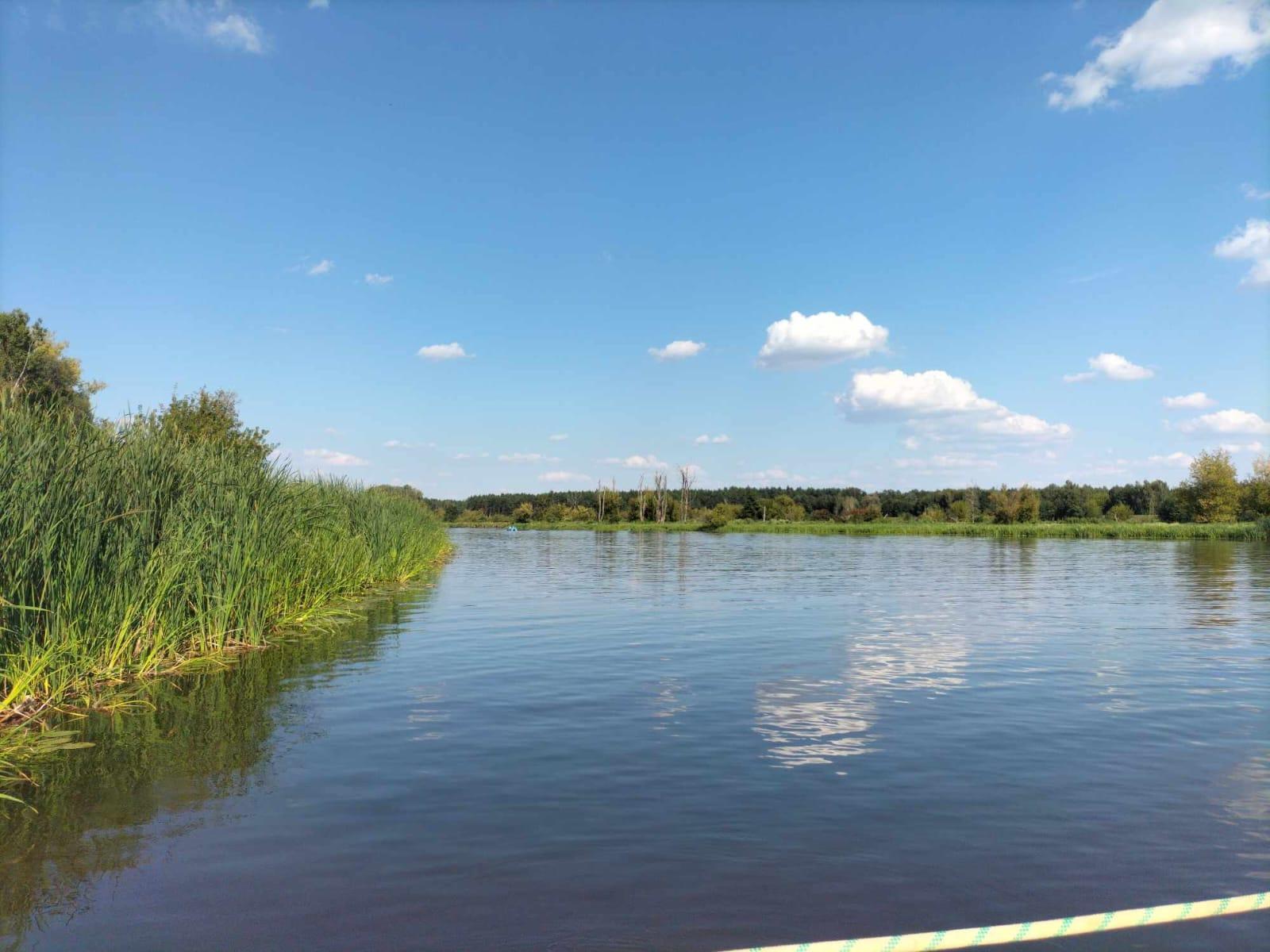 Narew w Pułtusku. Fot. A. Komuda