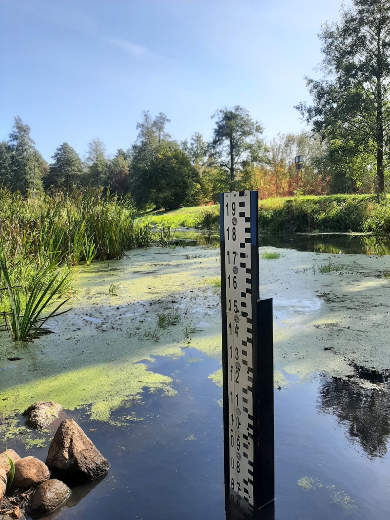 Stacja hydrologiczna Białowieża, rzeka Narewka, 08.10.2024 r. Fot. Przemysław Krassowski | IMGW-PIB