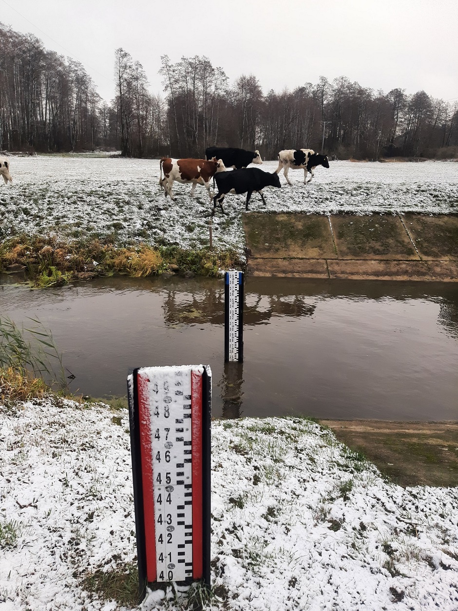 Stacja hydrologiczna Zawady, rzeka Ślina (woj. podlaskie), 21.11.2024 r. Fot. Przemysław Krassowski | IMGW-PIB