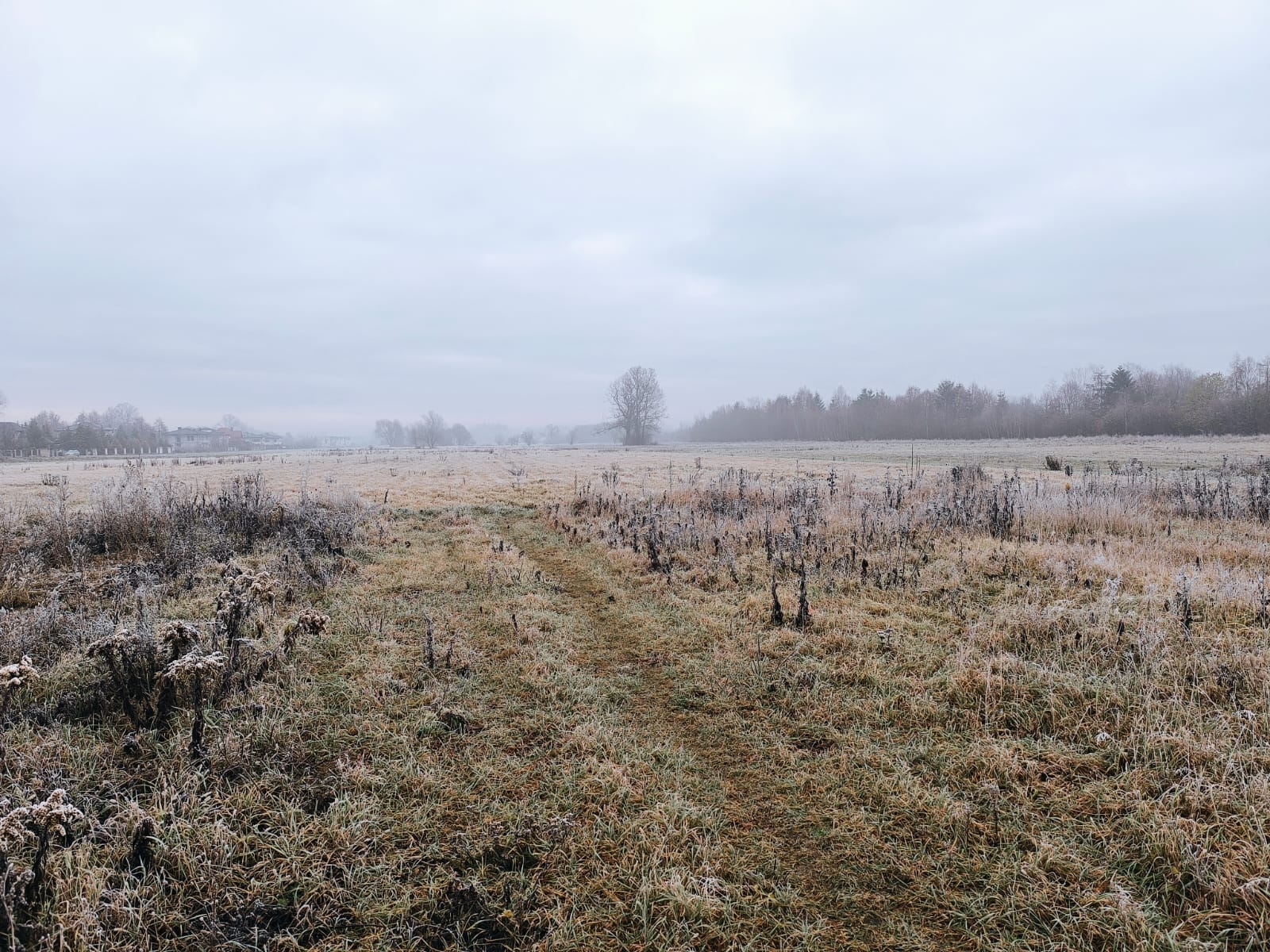 Mglisty i mroźny poranek na Mazowszu, 01.12.2024 r. Fot. Paweł Staniszewski | IMGW-PIB