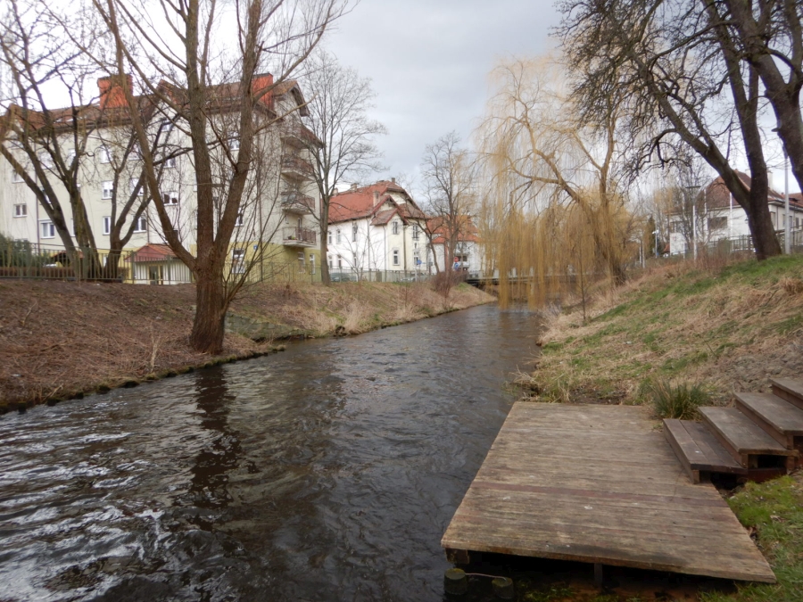 Rzeka Łeba, luty 2024 r., Fot. Michał Miotke | IMGW-PIB