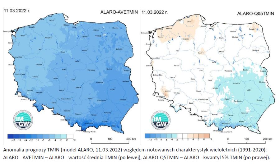 Anomalia prognozy TMIN (model ALARO, 11.03.2022) względem notowanych charakterystyk wieloletnich (1991-2020): ALARO - AVETMIN – ALARO - wartość średnia TMIN (po lewej), ALARO-Q5TMIN – ALARO - kwantyl 5% TMIN (po prawej).
