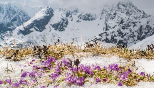 Wiosna w Tatrach, fot. Witold Kaszkin 
