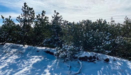 Zimowa wiosna na Półwyspie Helskim, fot. Dorota Walczak