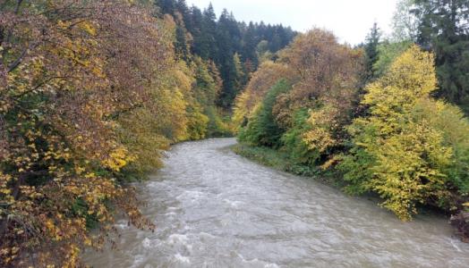 Rzeka Solinka w okolicach Terki, Bieszczady, 02.10.2022 r. Fot. Wioletta Bogaczyk | IMGW-PIB