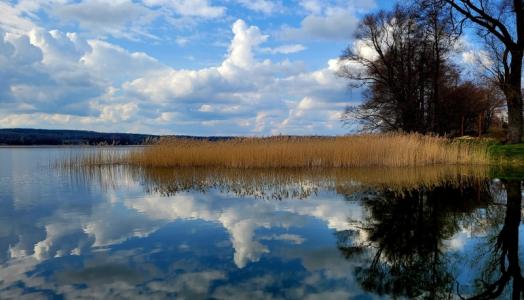Jezioro Rydzówka, kwiecień 2023 r. Fot. Agnieszka Harasimowicz| IMGW-PIB