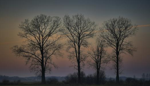 Jesienne drzewa. Fot. Maciej Maciejewski | IMGW-PIB