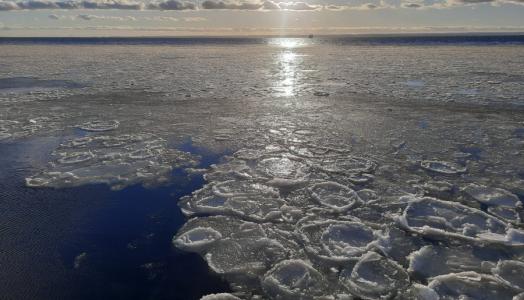 Krążki śryżowe na Morzu Bałtyckim w Juracie, 16.01.2024 r. Fot. Emilia Szewczak | IMGW-PIB