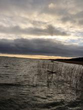 Jezioro Łebsko, 27.03.2021 r. Fot. Iwona Wodowska | IMGW-PIB