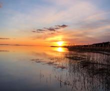 Jezioro Łebsko, 09.03.2021 r. Fot. Iwona Wodowska | IMGW-PIB