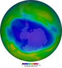 Ilustracja aktualnego stanu dziury ozonowej nad Antarktydą. Fioletowe i niebieskie kolory pokazują obszary z najmniejszą ilością ozonu (wartości w jednostkach Dobsona, 1DU = 2,69×1020 cząsteczek O3/m2). Źródło: https://ozonewatch.gsfc.nasa.gov/.