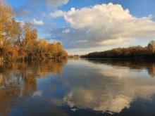 Rzeka San w profilu Radomyśl, 26.10.2022 r. Fot. Michał Osiecki | IMGW-PIB
