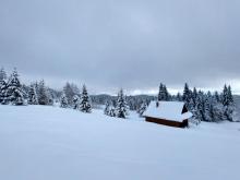 Zimowe wejście na Turbacz, 21.01.2023 r. Fot. Wioletta Bogaczyk | IMGW-PIB