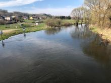 Rzeka Drwęca w miejscowości Kurzętnik, 13.04.2023 r. Fot. Dariusz Witkowski | IMGW-PIB
