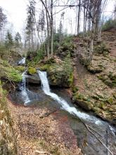 Rzeka Biała Wisełka, Beskid Śląski, 15.04.2023 r. Fot. Wioletta Bogaczyk | IMGW-PIB