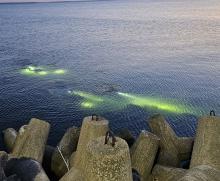 Posprzątajmy nasze plaże – w trosce o Bałtyk