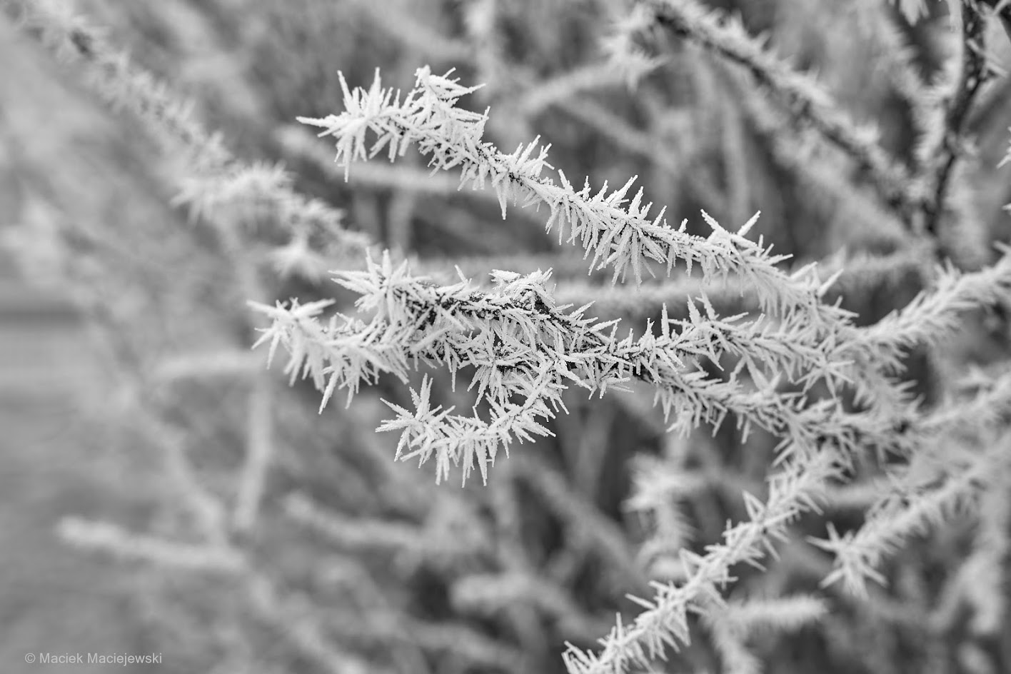 Prognoza pogody na najbliższy tydzień (25.11 – 1.12.2019)