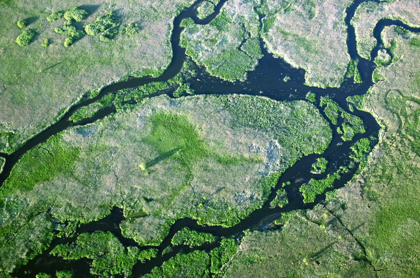 Charakterystyka warunków wilgotnościowych oraz hydrologicznych w w Polsce w roku hydrologicznym 2019