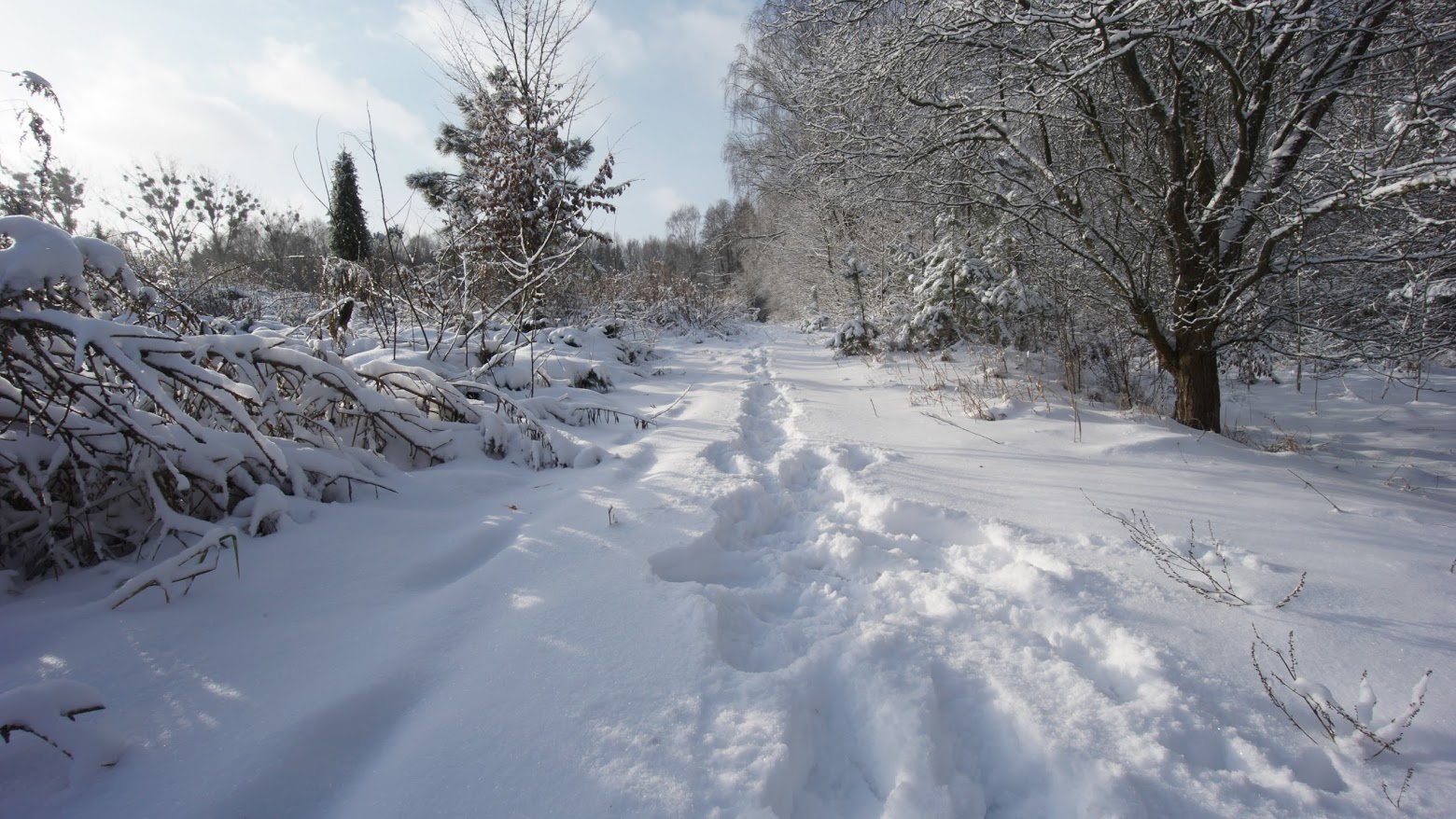 Prognoza pogody na najbliższy tydzień (06.01.2020 – 12.01.2020)
