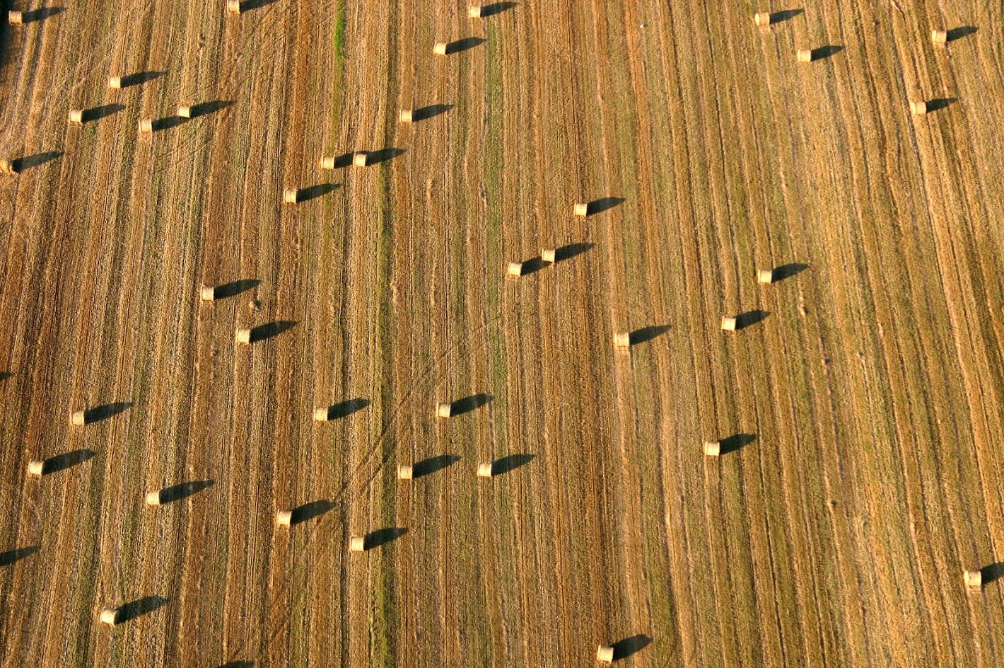 Wpływ zmian klimatu na produkcję roślinną w Polsce – 12 lutego zapraszamy do Wrocławia!