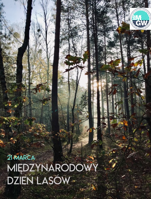 21 marca: Międzynarodowy Dzień Lasów