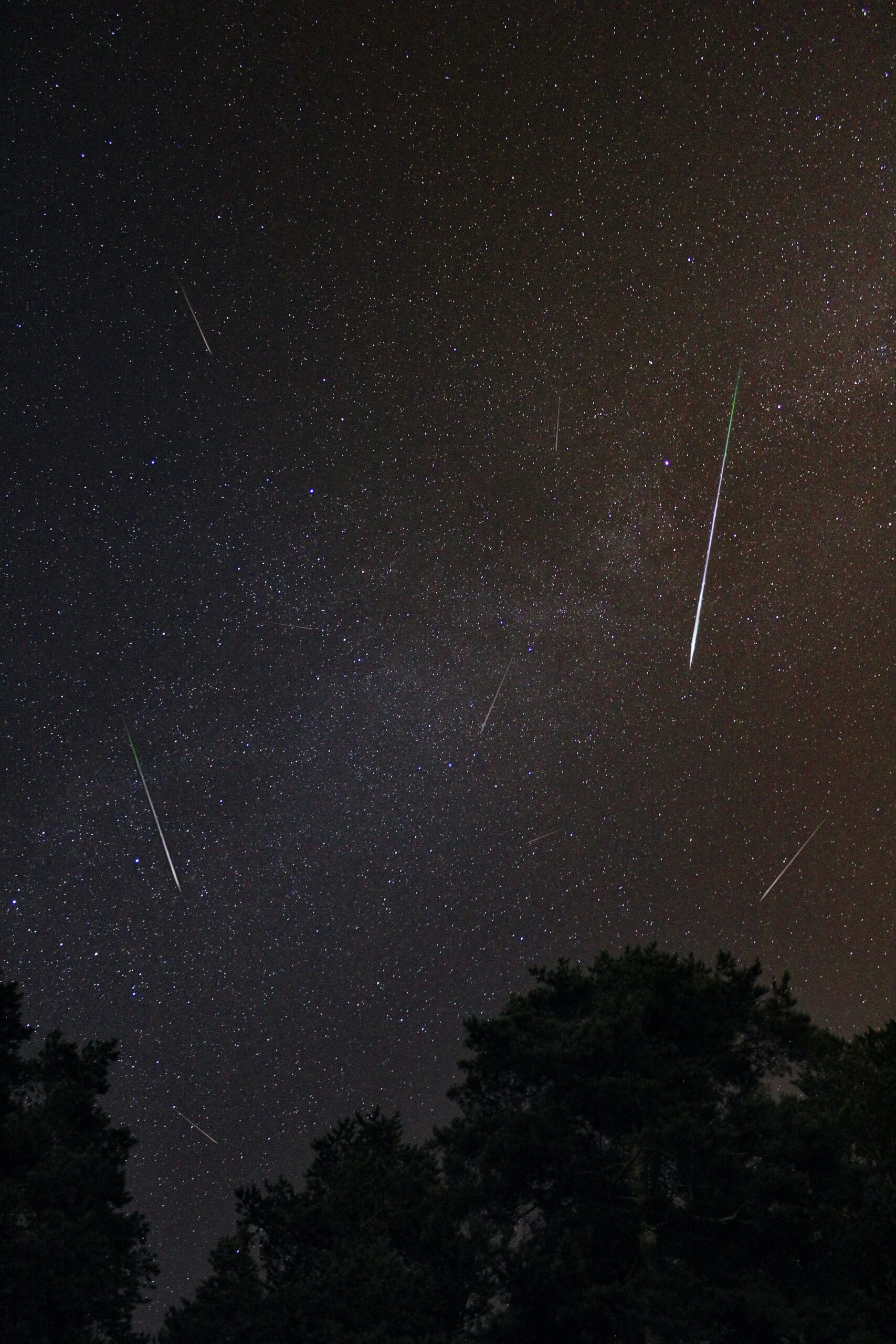 Dziś noc „spadających gwiazd” – Perseidów