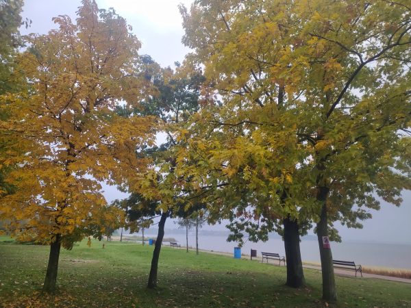 Szczegółowa prognoza pogody na weekend: 30.10-01.11.2020 r.