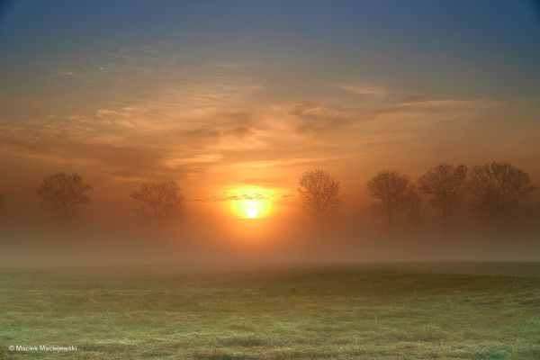 Prognoza na weekend: Będzie ciepło, niewykluczone burze.