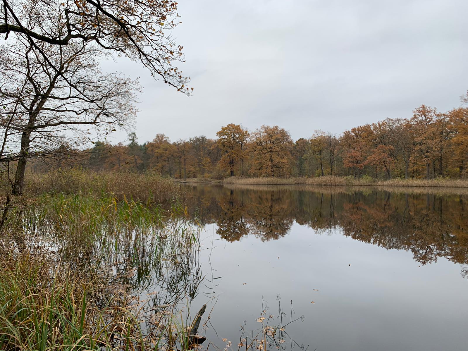 Aktualizacja portali hydro.imgw.pl i monitor.imgw.pl