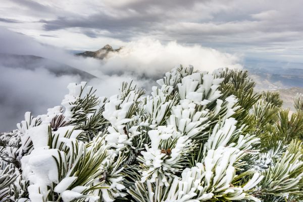 Eksperymentalna prognoza długoterminowa temperatury i opadu na grudzień 2020 roku