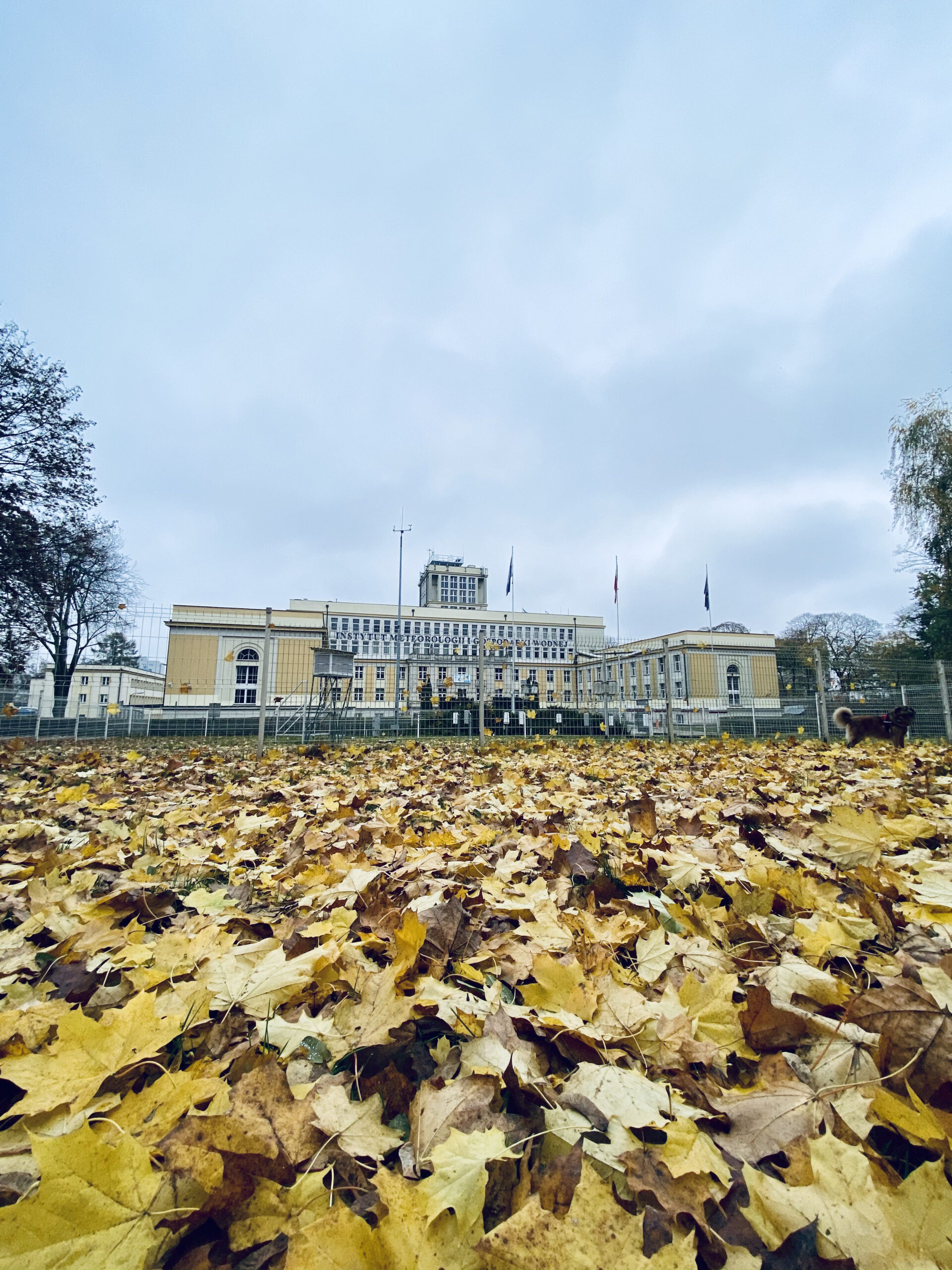 IMGW-PIB w resorcie Infrastruktury