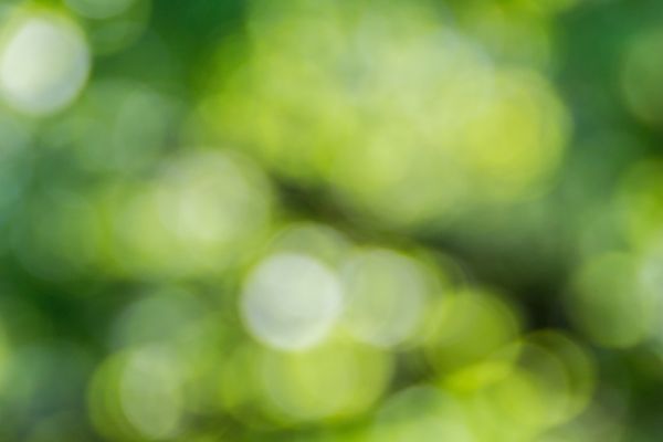 Zmiany klimatu w świetle prawa Unii Europejskiej i prawa polskiego na tle porównawczym – zaproszenie na konferencję