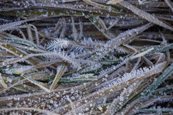 Orientacyjna synoptyczna prognoza pogody na najbliższy tydzień (28.12.2020 – 03.01.2021)