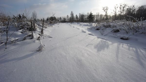 Orientacyjna synoptyczna prognoza pogody na najbliższy tydzień (04-10.01.2021)