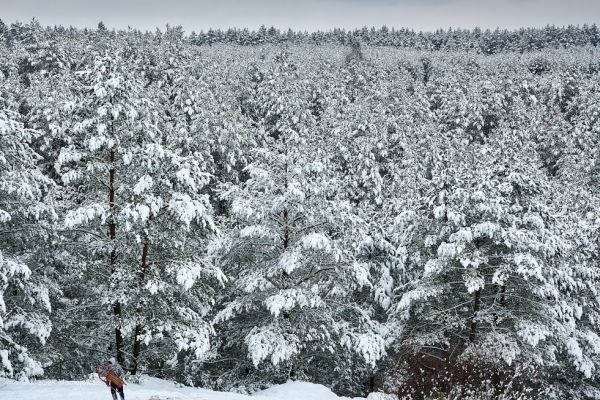 Synoptyczna prognoza pogody na weekend 15-17.01.2021 r.