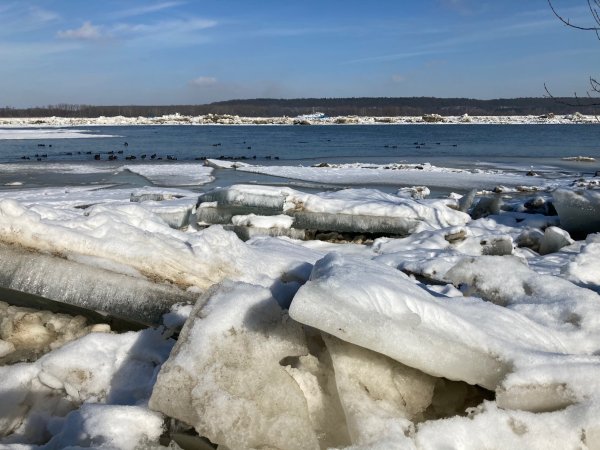 Sytuacja hydrologiczna na Wiśle poniżej ujścia Narwi 20.02.2021