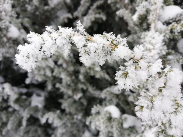 Synoptyczna prognoza pogody na weekend 05-07.02.2021 r.
