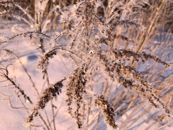 Synoptyczna prognoza pogody na weekend 19-21.02.2021 r.