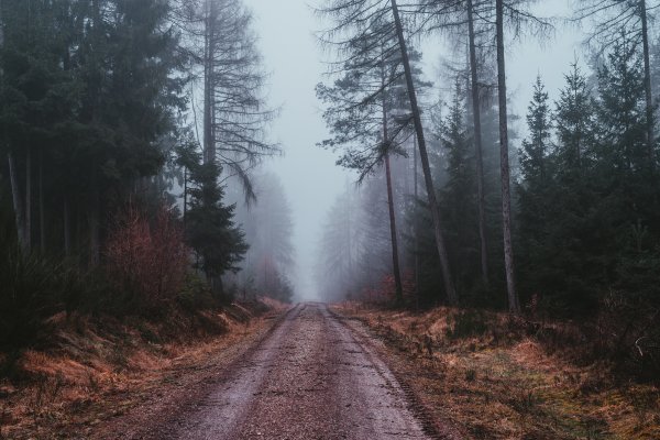 IMGW-PIB: Eksperymentalna prognoza długoterminowa temperatury i opadu na marzec 2021 roku