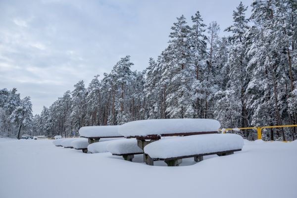 Orientacyjna synoptyczna prognoza pogody na pierwszy tydzień lutego (1-7.02.2021)