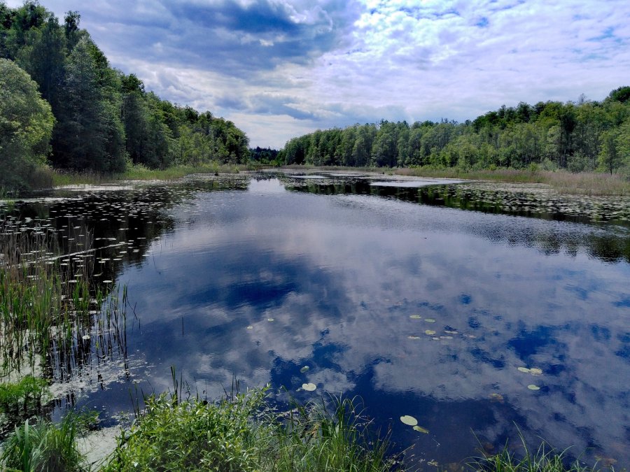 IMGW-PIB: Prognoza synoptyczna na weekend dla Polski –  11-13.06.2021 r.