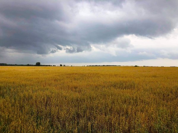 IMGW-PIB: Prognoza synoptyczna na weekend dla Polski – 16-18.07.2021 r.