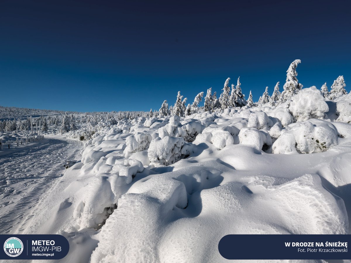 IMGW-PIB: Prognoza synoptyczna na 50 tydzień roku (13-19.12.2021 r.)