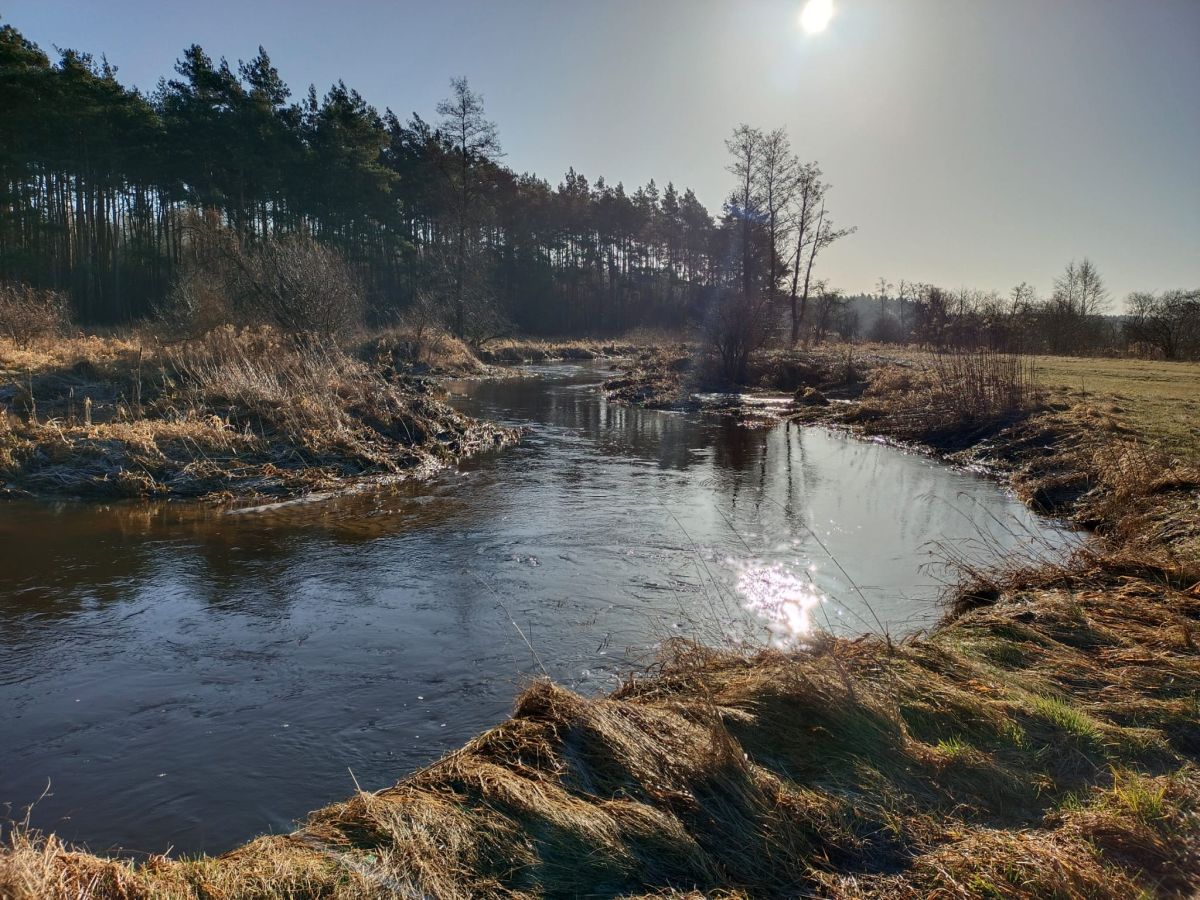 IMGW-PIB: Prognoza meteorologiczna i szczegółowa prognoza hydrologiczna na kolejne 7 dni